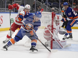 Red Wings Islanders Hockey