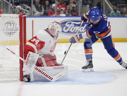 Red Wings Islanders Hockey