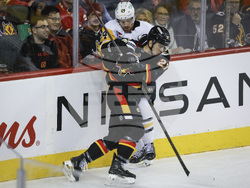 Penguins Flames Hockey