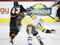 Penguins Flames Hockey