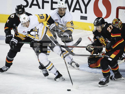 Penguins Flames Hockey