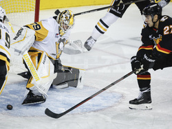Penguins Flames Hockey