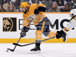 Bruins Predators Hockey