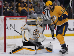 Bruins Predators Hockey