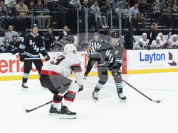 Senators Utah Hockey