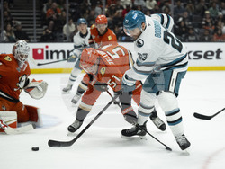 Sharks Ducks Hockey