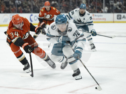 Sharks Ducks Hockey