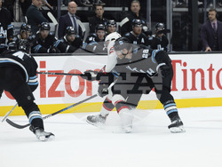 Senators Utah Hockey