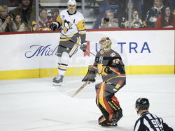 Penguins Flames Hockey
