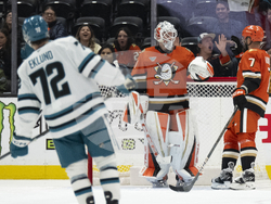 Sharks Ducks Hockey