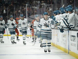 Sharks Ducks Hockey