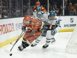 Sharks Ducks Hockey