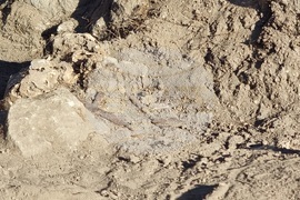 Кърджали - Перперикон - археология