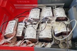 Самоков - кръводарителска акция