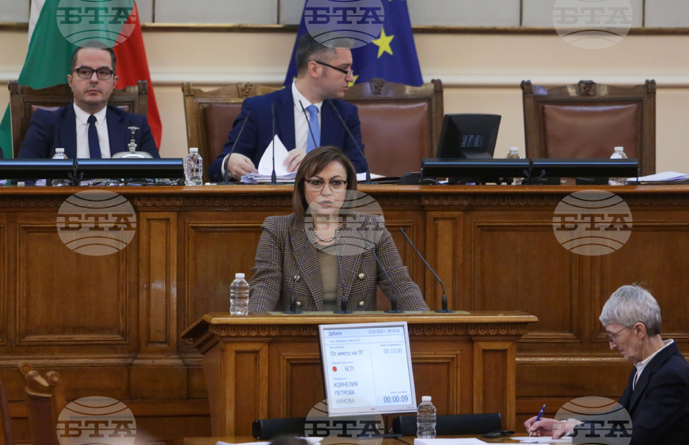 Парламент - заседание - Корнелия Нинова