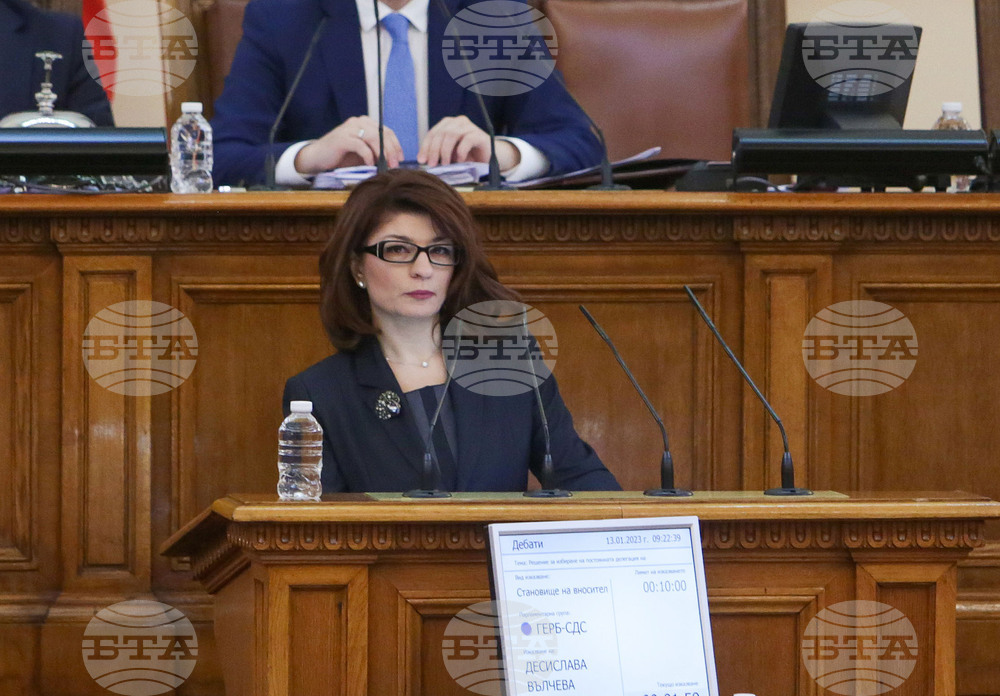 Парламент - заседание - Десислава Атанасова