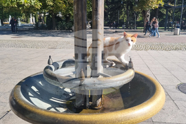 Търговище - есенни етюди