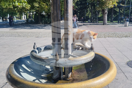 Търговище - есенни етюди