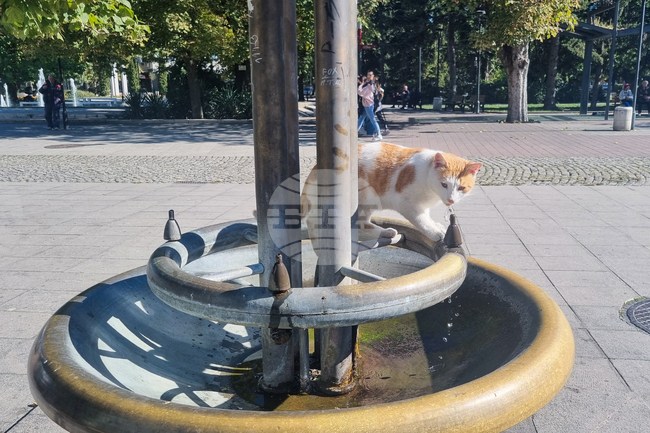 Търговище - есенни етюди