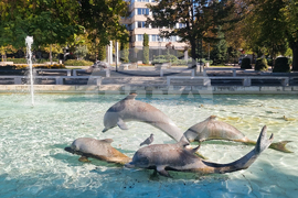 Търговище - есенни етюди