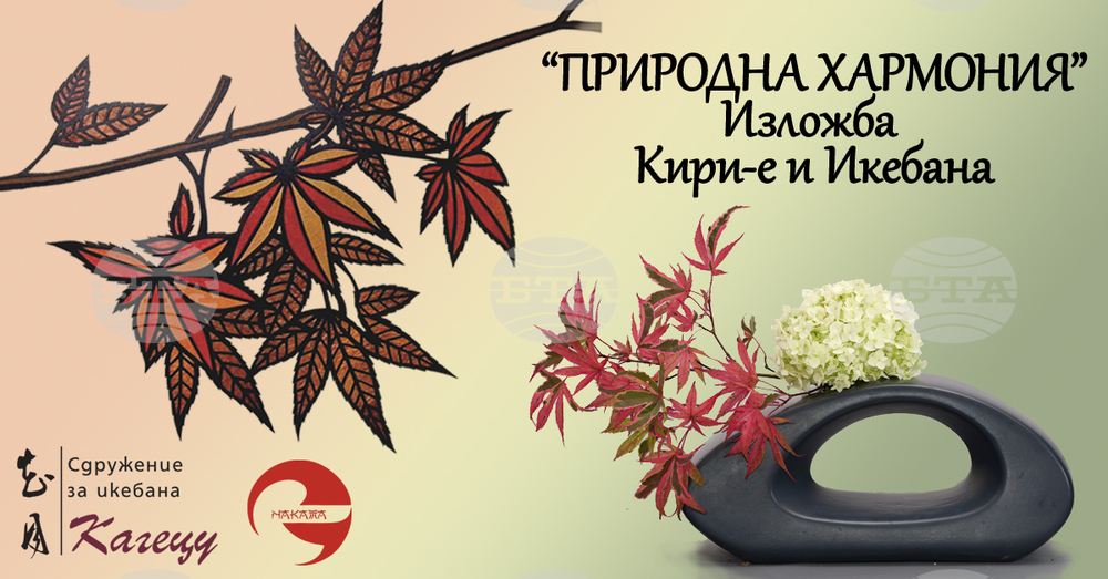Изложба на японските изкуства кири-е и икебана ще бъде показана в Триъгълната кула на Сердика