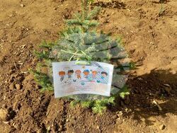 Снимка: Община Стара Загора