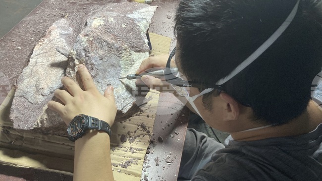 Нов метод открива следи от древен живот на Земята в скали