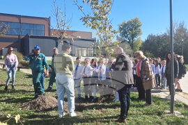 Разград - деца - инициатива