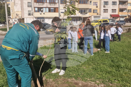 Разград - деца - инициатива