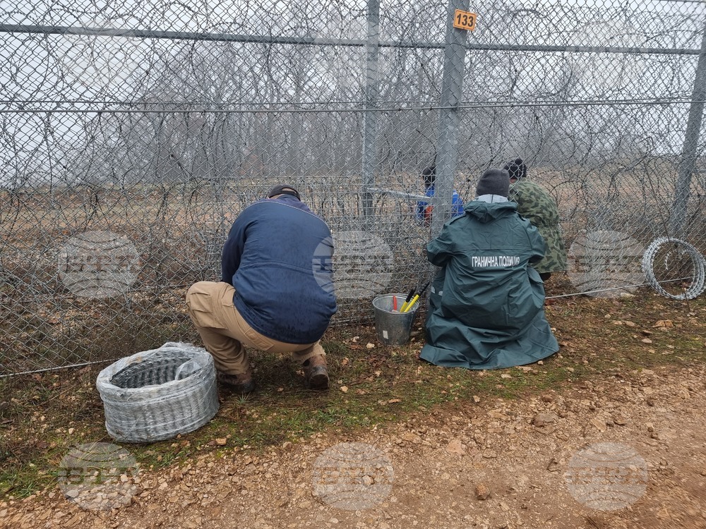 Bulgaria Joins Member States' Letter about New Solutions to Irregular Migration to EU