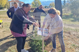 Самоков - засаждане на дървета- национална кампания