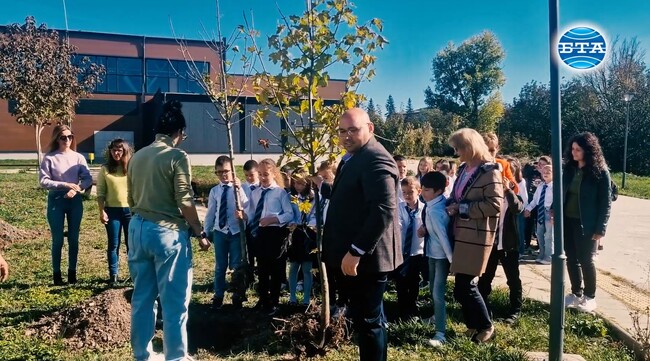 Дръвчета с послания срещу насилието над деца ще растат пред спортната зала „Абритус“ в Разград