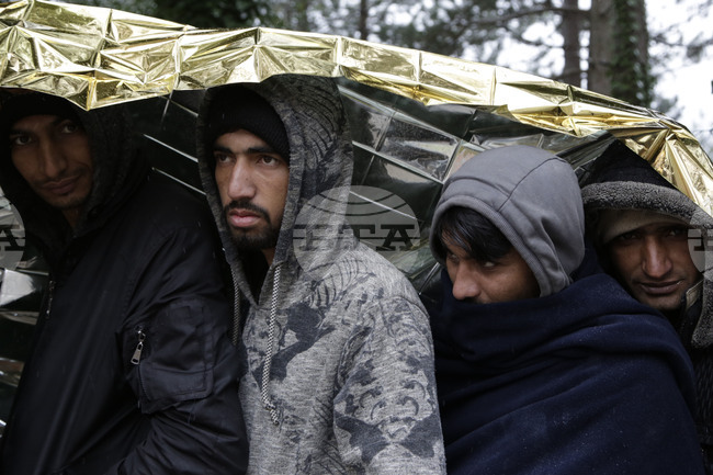 Хърватия временно спира да разглежда молби за убежище от сирийци