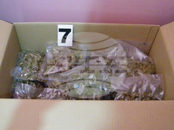 Снимка: ГД „Гранична полиция“