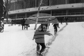 Зимна събота в парка