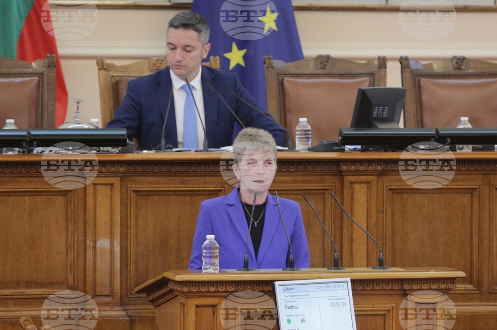 Парламент - парламентарен контрол - Даниела Дашева
