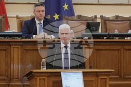 Парламент - парламентарен контрол - Димитър Стоянов