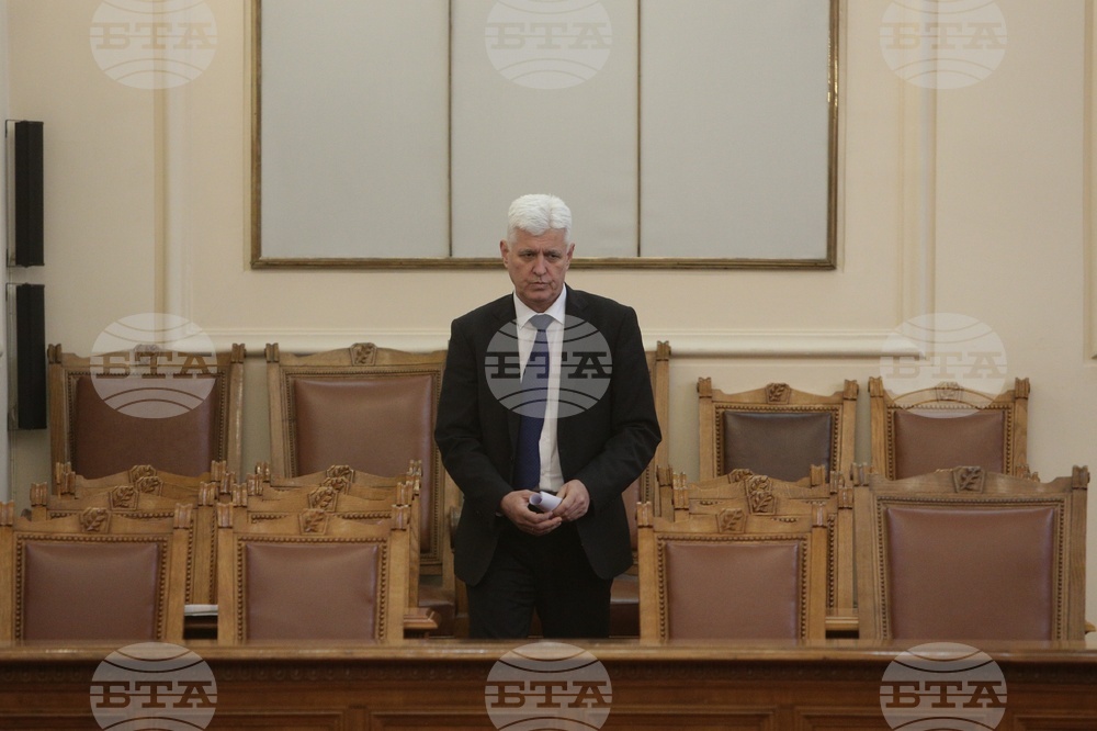 Парламент - парламентарен контрол - Димитър Стоянов