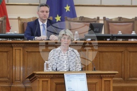 Парламент - парламентарен контрол - Весела Лечева