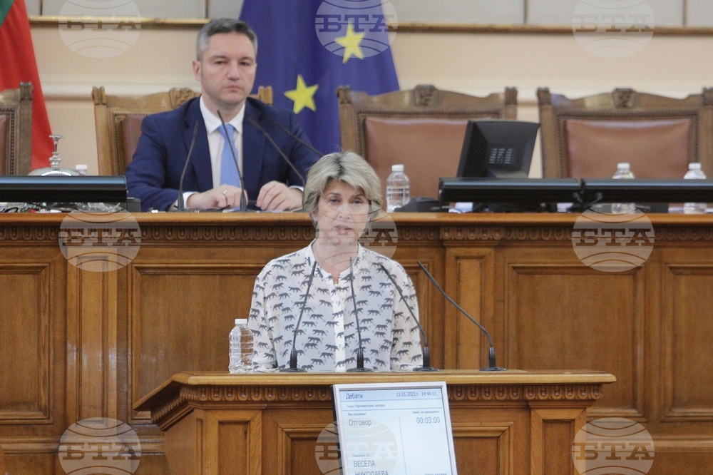 Парламент - парламентарен контрол - Весела Лечева