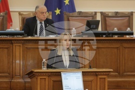 Парламент - парламентарен контрол - Росица Карамфилова-Благова
