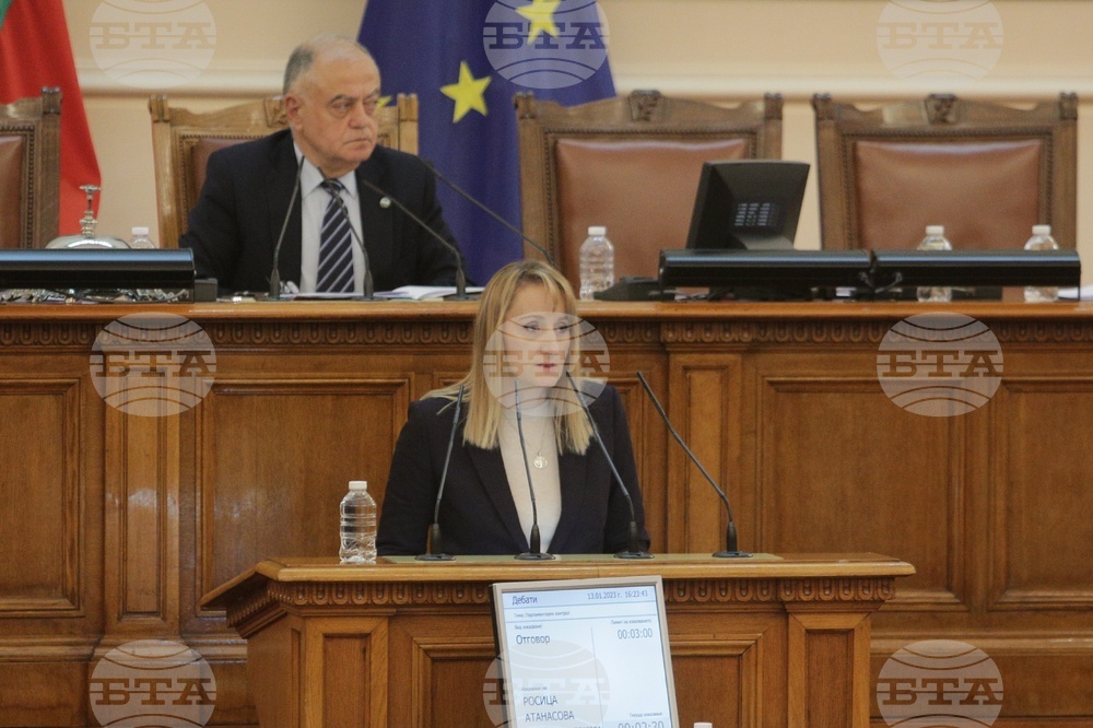 Парламент - парламентарен контрол - Росица Карамфилова-Благова