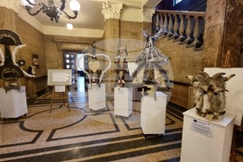 Перник -"Изкуството на маската" - изложба - откриване