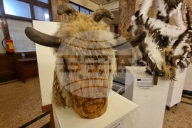 Перник -"Изкуството на маската" - изложба - откриване