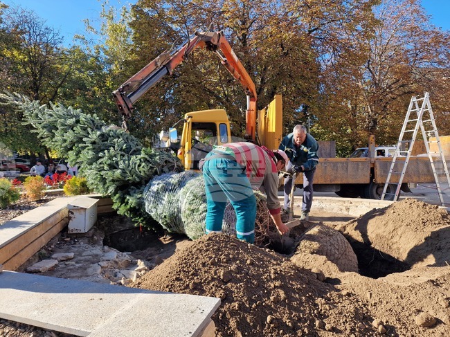 Разград - център - нова коледна елха 