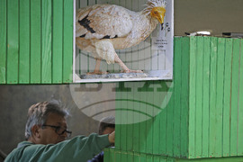 Варна - Варненски фестивал на науката