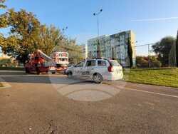 Снимка: Община Стара Загора