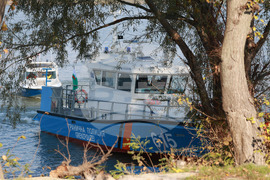 Село Мечка - местност Стълпище - SAREX-24 - съвместно учение