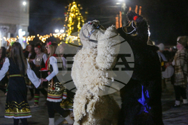 Батановци - "Сурва"