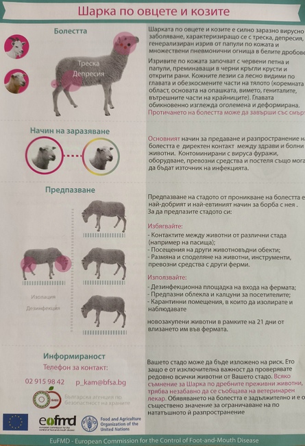 В Сливен няма данни за огнища на шарка и чума по овцете и козите